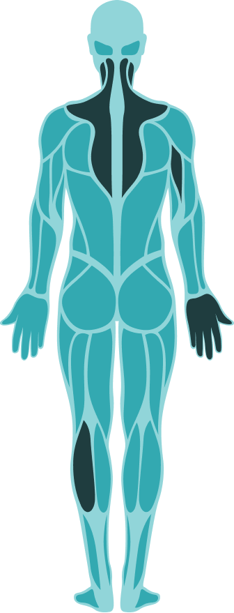 Anatomy Map